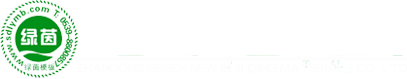 白沟新城温庄网络工作室